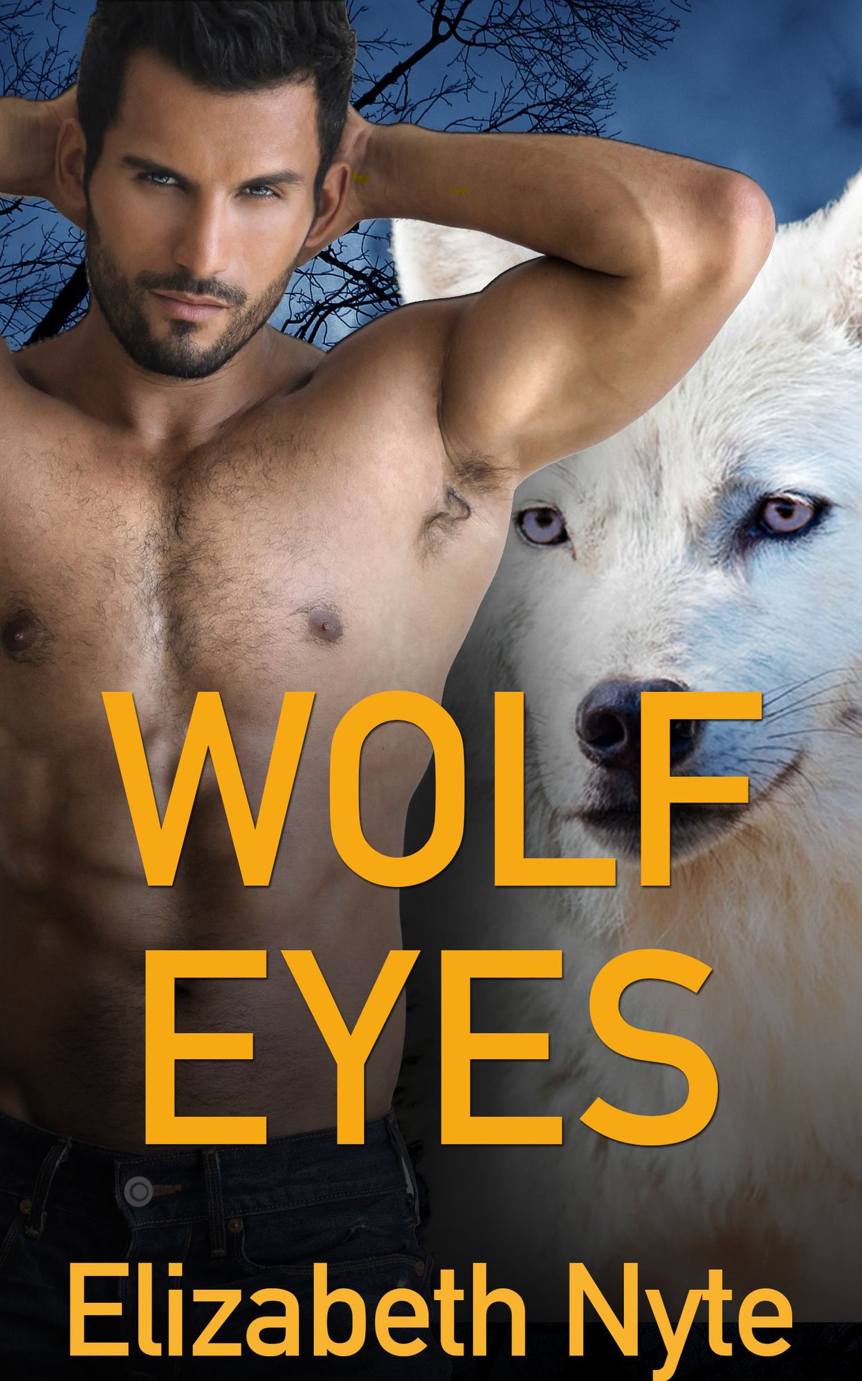 Wolf Eyes ( Paranormal Shifter Romance )