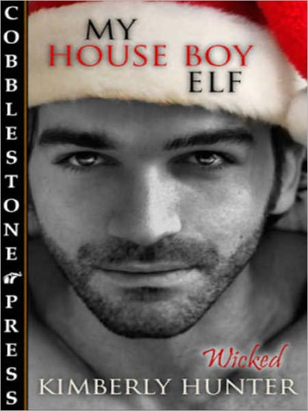 My House Boy Elf