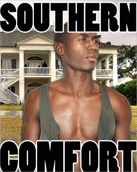 Southern Comfort: An Erotic Gay Romance
