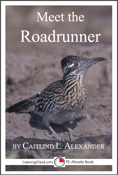 Meet the Roadrunner: A 15-Minute book for Early Readers