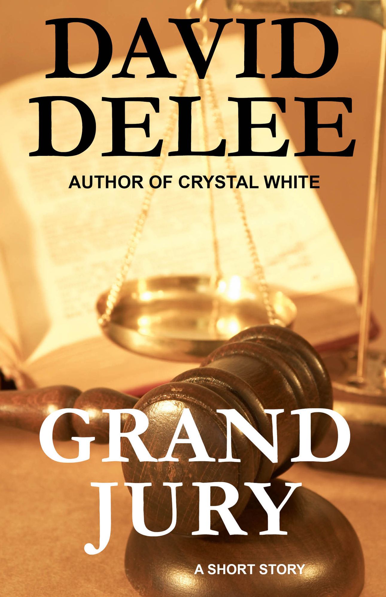 Grand Jury (A Digital Short Story)