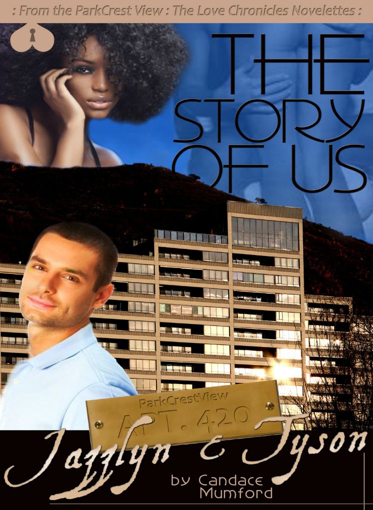 The Story of Us ( A Novella )