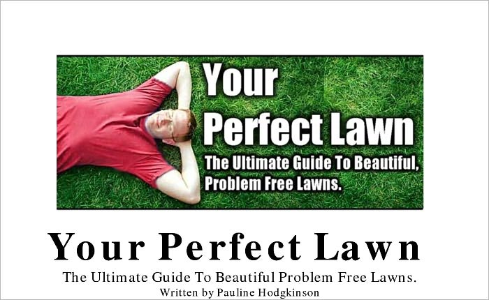 Creating Your Perfect Lawn