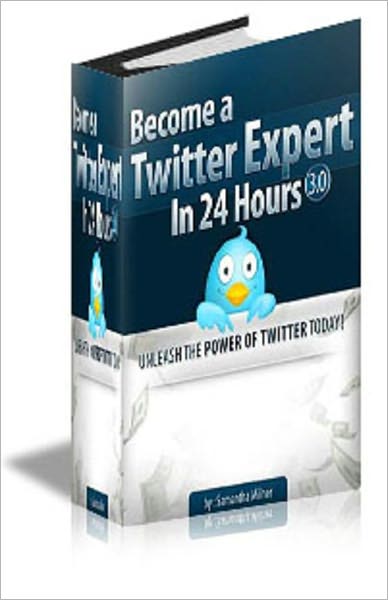Become a Twitter Expert In 24 Hours