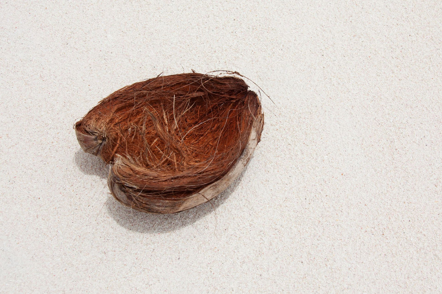 The Complete Coconut Oil Handbook