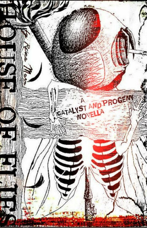 House of Flies