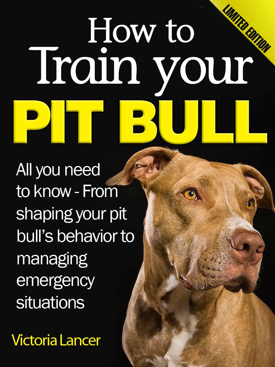 How to Train Your Pit Bull - Limited Edition