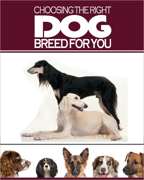 Choosing the Right Dog for You
