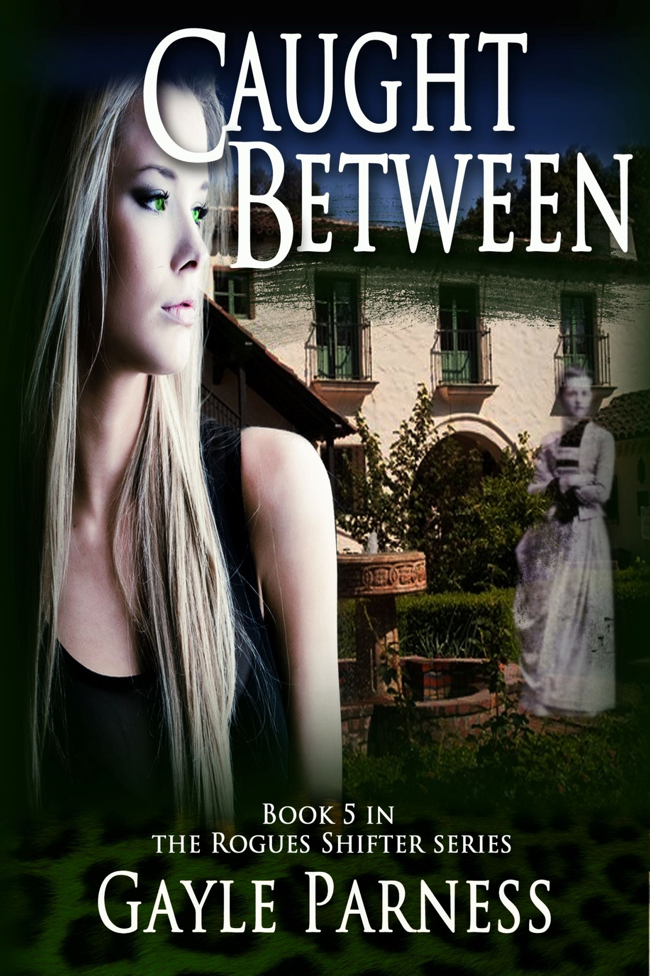 Caught Between: Book 5 Rogues Shifter Series