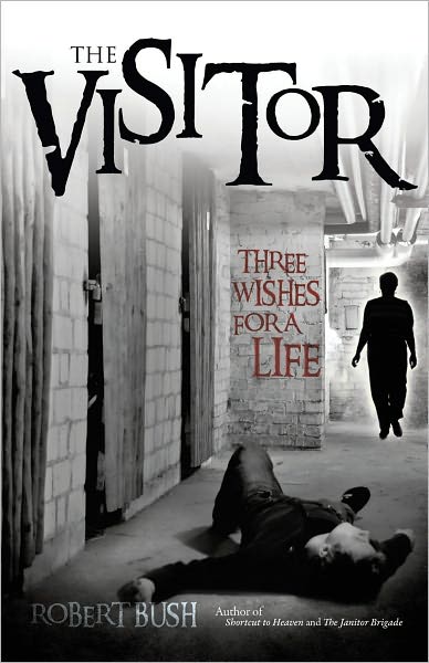The Visitor