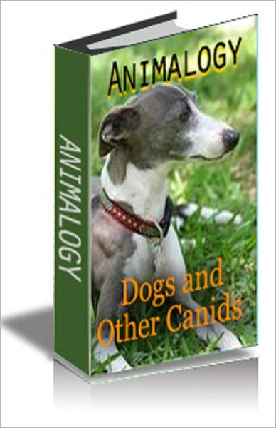 Animalogy: Dogs and Other Canids