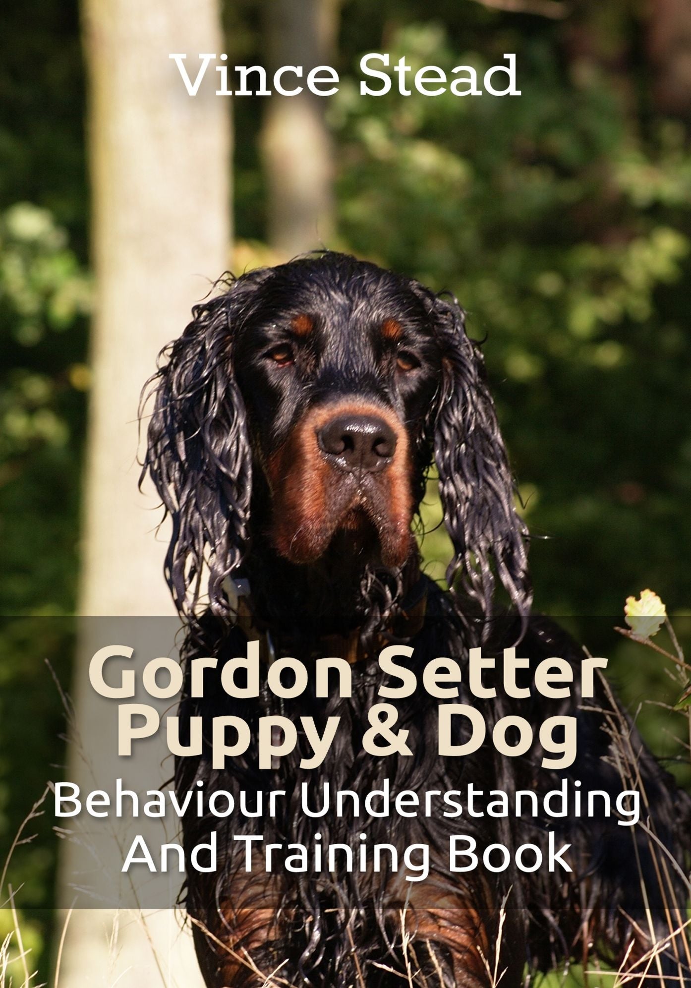 Gordon Setter Puppy & Dog Behavior Understanding and Training Book