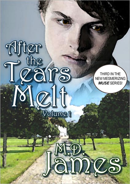 After the Tears Melt - Vol. 1 (The Muse Series #3)