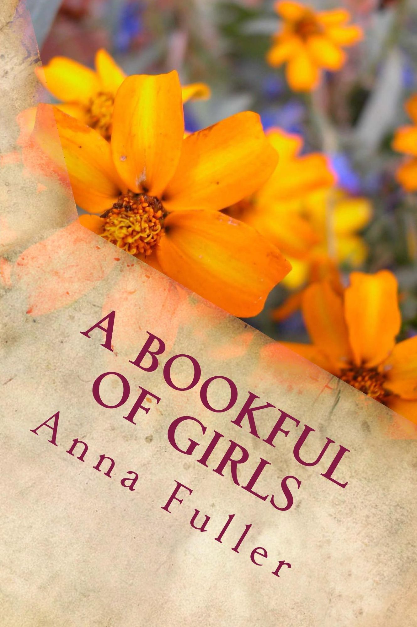 A Bookful of Girls (Illustrated Edition)