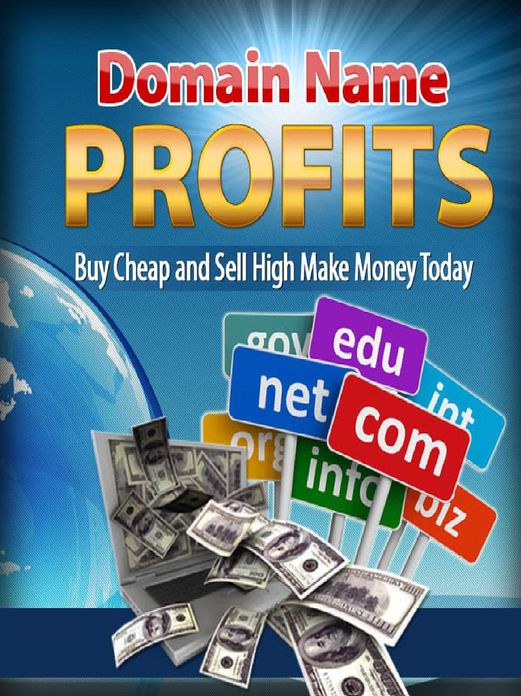 Domain Name Profits