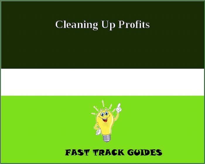 Cleaning Up Profits - A Clean Maid Services System