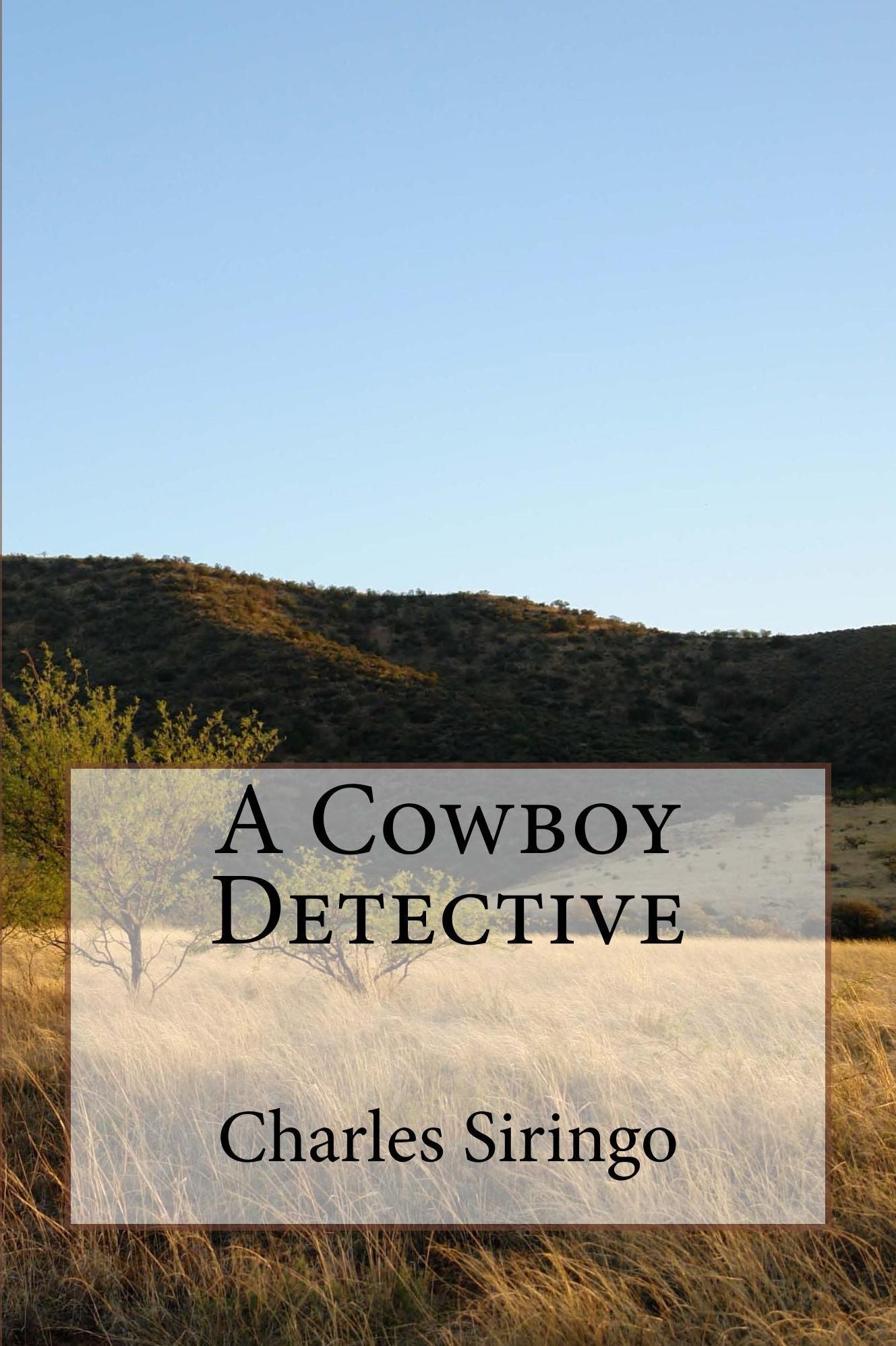 A Cowboy Detective (Illustrated Edition)