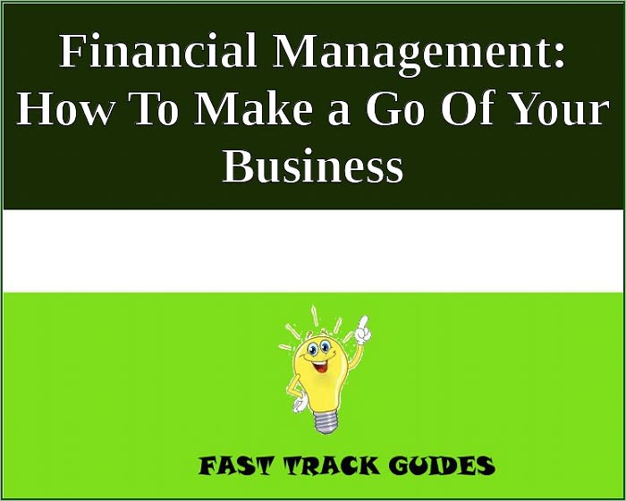 Financial Management: How To Make a Go Of Your Business
