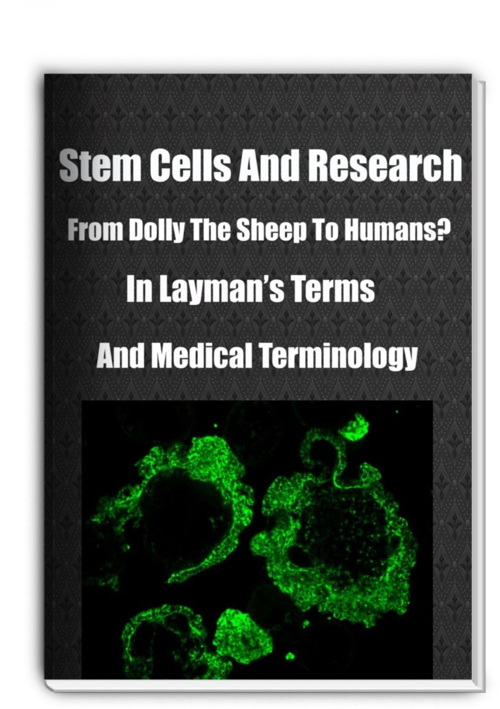 Stem Cells And Research-From Dolly The Sheep To Humans?-In Laymans Terms And Medical Terminology