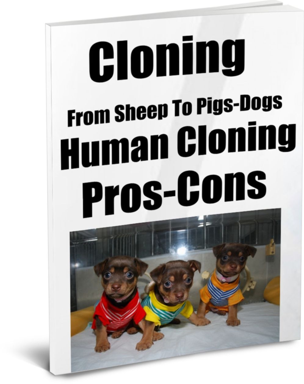 Cloning-From Sheep To Pigs-Dogs-Human Cloning-Pros-Cons