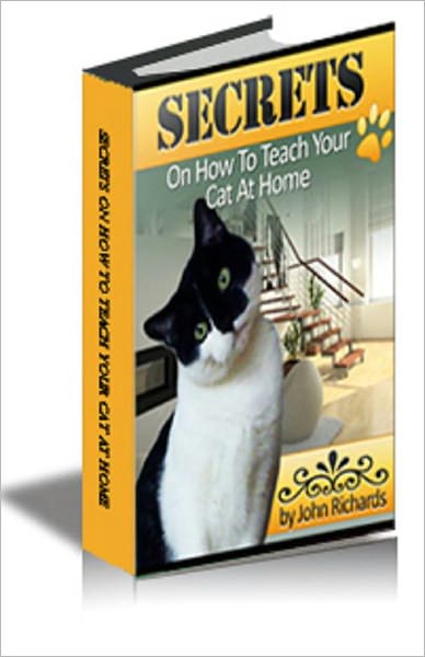 Secrets On How To Teach Your Cat At Home