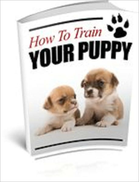 How To Train Your Puppy