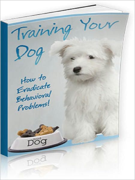 Training Your Dog