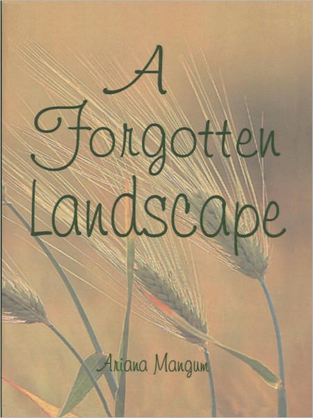 A Forgotten Landscape