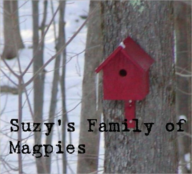 Suzy's Family of Magpies