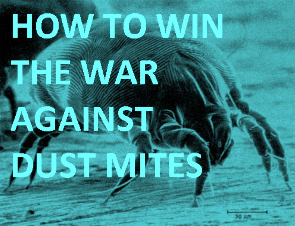 Detective Fiction: How to Win the War Against Dust Mites! ( war, fight, battle, fighting, combat, campaign, war, battle, death struggle, combat, noise )