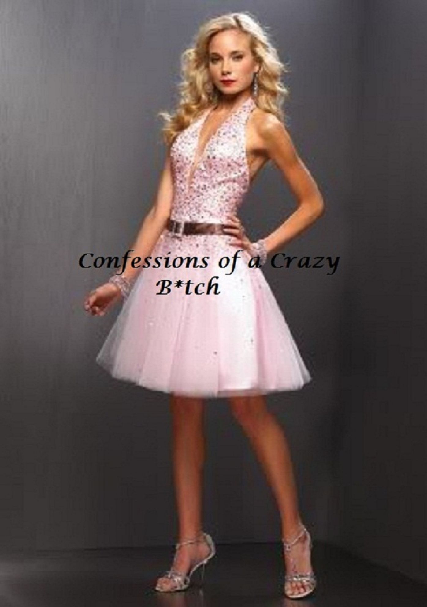 Confession of a Crazy B*tch (humor, funny)