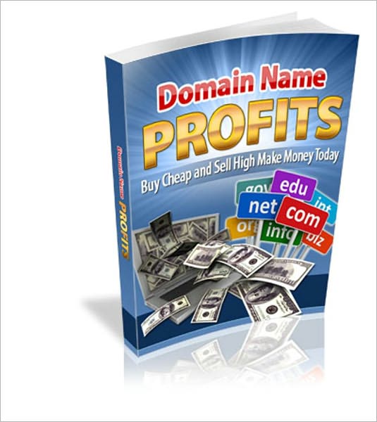 Domain Name Profits - Buy Cheap And Sell High Make Money Today