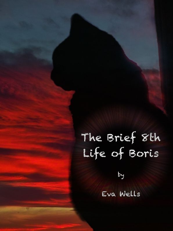 The Brief 8th Life Of Boris