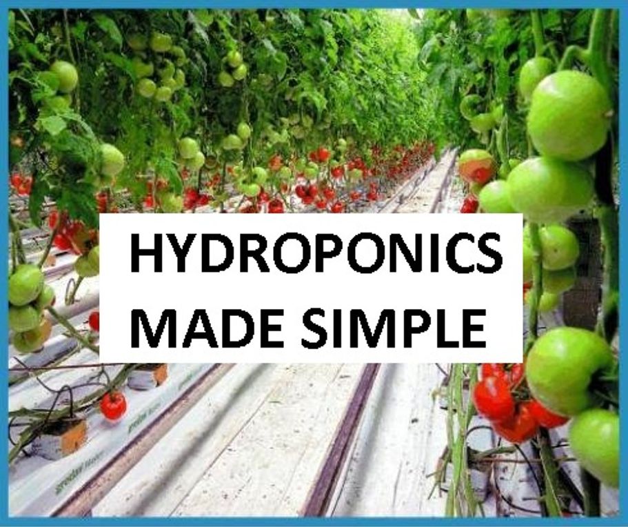 HYDROPONICS MADE SIMPLE ( factory, mill, workshop, manufactory, workhouse, works , HYDROPONICS )