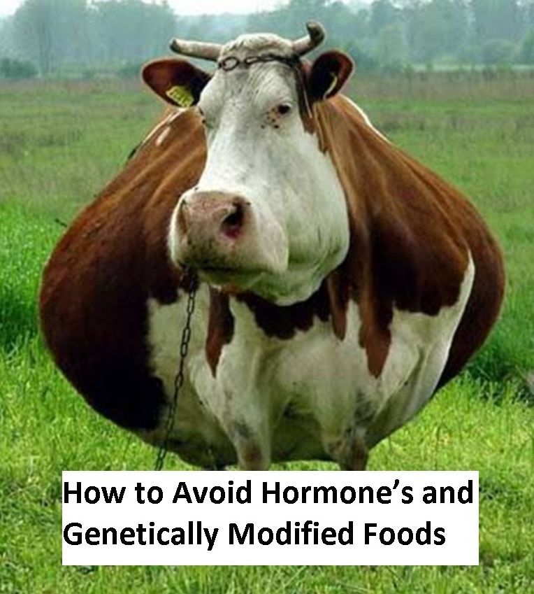 Entertaining: How to Avoid Hormones and Genetically Modified Foods ( food, nutrition, victuals,food, eatables, meat, comestibles, comestible, pabulum victual, viands, aliment,)