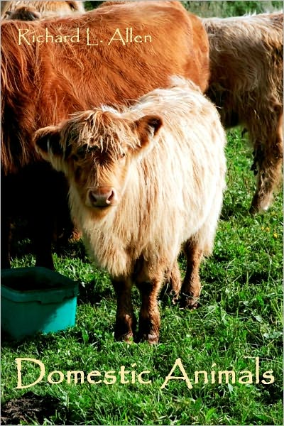 Domestic Animals (Illustrated)