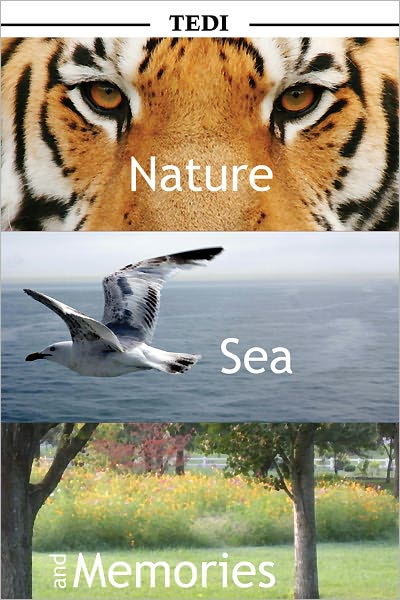 Nature, Sea, and Memories