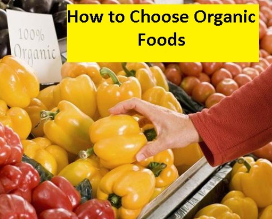 International Cooking: How to Choose Organic Foods ( mechanical, instrumental, mechanic, machinal, organic, food, nutrition, victuals, victual, viands, aliment )