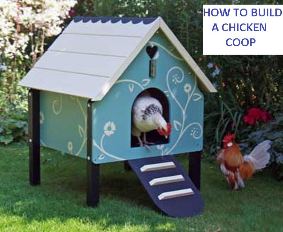 International Cooking: HOW TO BUILD A SIMPLE CHICKEN COOP ( chicken, chick, poult, cock, coop, impound, trammel, agriculture, farming, cultivation, husbandry)