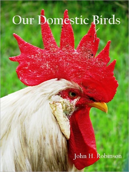 Our Domestic Birds (Illustrated)