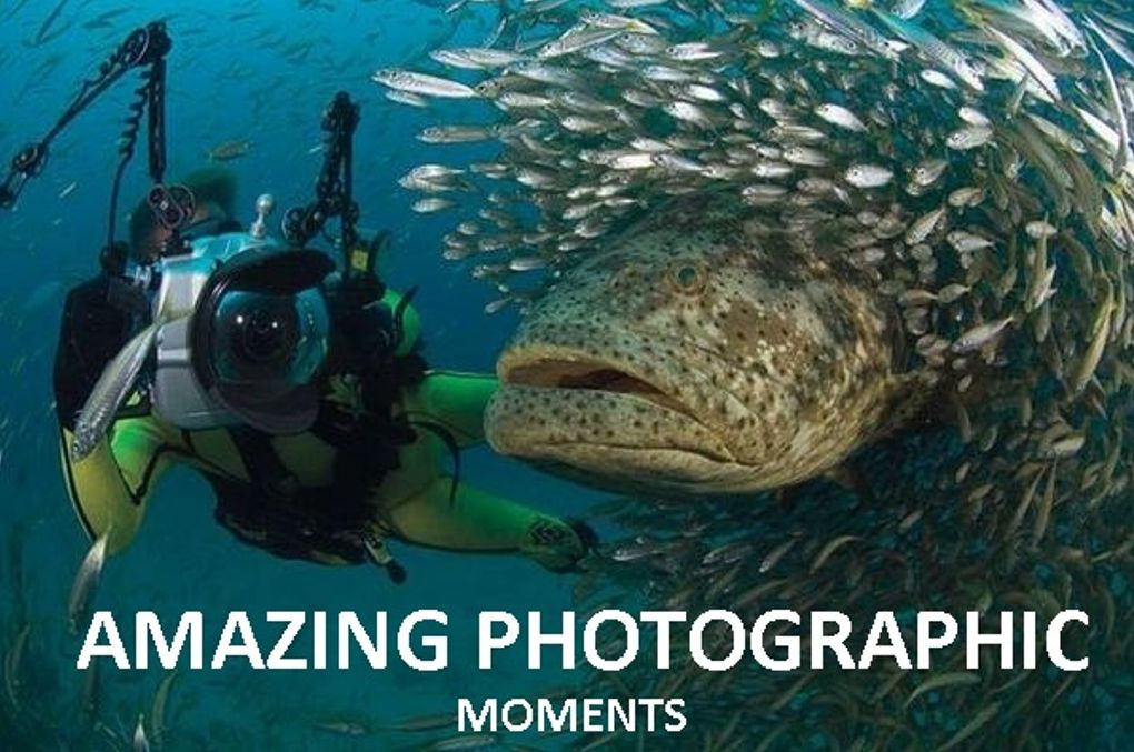 Photography: Amazing Photographic Moments