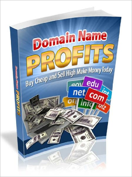 Domain Name Profits