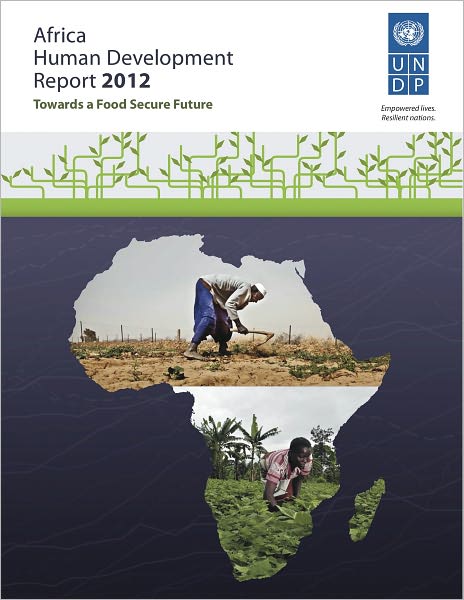 Africa Human Development Report 2012