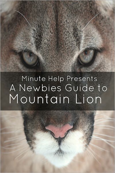 A Newbie’s Guide to OS X Mountain Lion: Switching Seamlessly from Windows to Mac