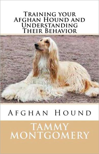 Training your Afghan Hound and Understanding Their Behavior