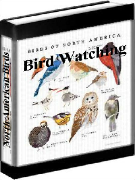 Bird Watching - Common Birds Of North America