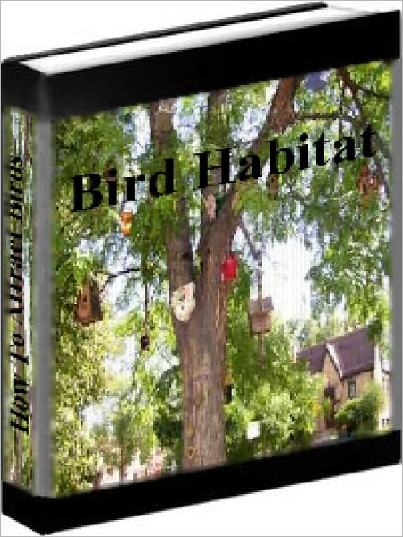 Bird Habitat - How To Create An Inviting Yard To Attract Birds
