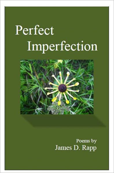 Perfect Imperfection