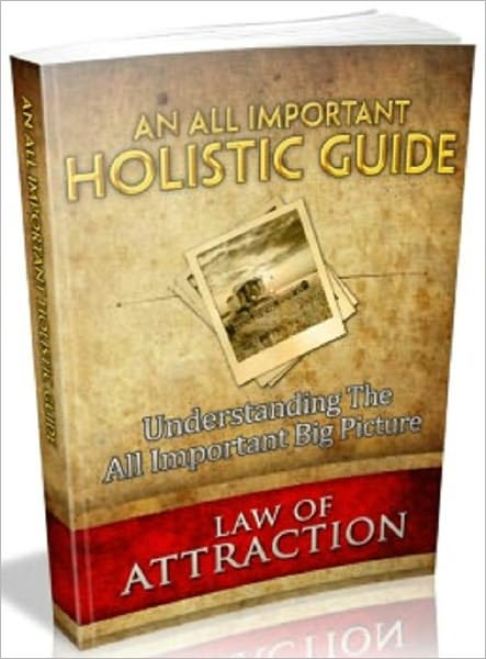 An All Important Holistic Guide - Understanding The All Important Big Picture Law Of Attraction