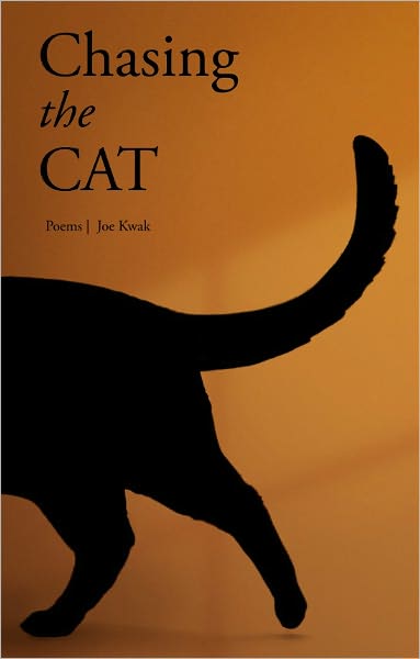 Chasing the Cat